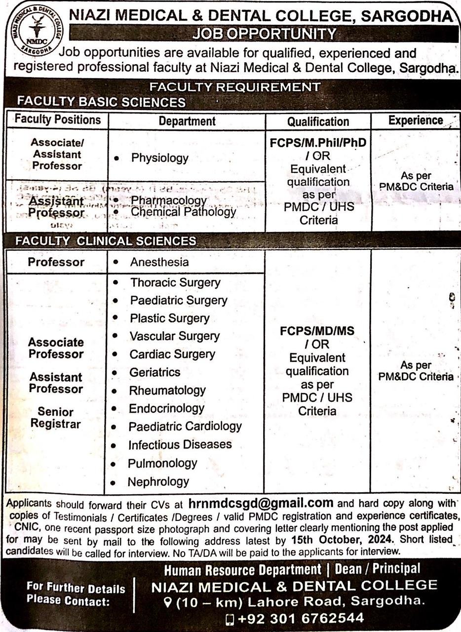 Professor